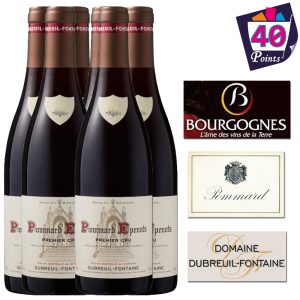 DUBREUIL FONTAINE POMMARD 1ER CRU LES EPENOTS 2020