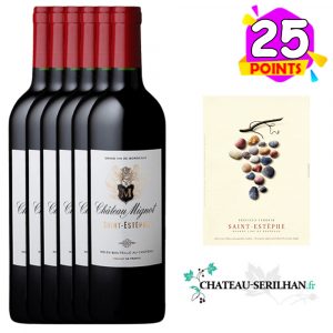 Château Mignot 2009 Saint-Estèphe